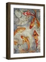 Vibrant Koi II-Tim O'toole-Framed Art Print