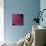 Vibrant Light-Sarah Caswell-Stretched Canvas displayed on a wall