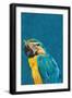 Vibrant macaw wearing glasses-Sarah Manovski-Framed Giclee Print