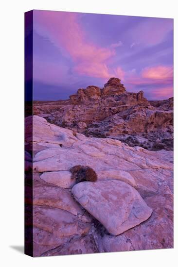 Vibrant Orange Clouds over Red and White Sandstone at Sunset, Gold Butte, Nevada, Usa-James Hager-Stretched Canvas