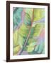 Vibrant Palm Leaves II-Jennifer Goldberger-Framed Art Print