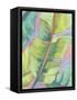 Vibrant Palm Leaves II-Jennifer Goldberger-Framed Stretched Canvas