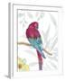 Vibrant Parrot-Sandra Jacobs-Framed Giclee Print