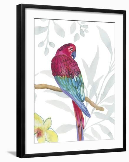 Vibrant Parrot-Sandra Jacobs-Framed Giclee Print