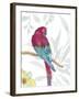 Vibrant Parrot-Sandra Jacobs-Framed Giclee Print