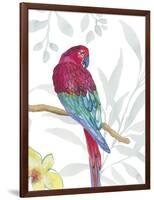 Vibrant Parrot-Sandra Jacobs-Framed Giclee Print