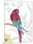 Vibrant Parrot-Sandra Jacobs-Mounted Giclee Print