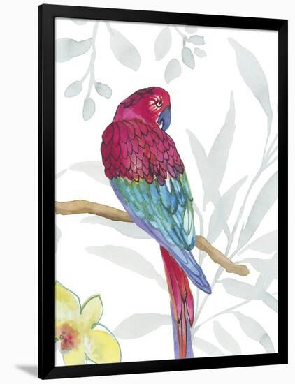 Vibrant Parrot-Sandra Jacobs-Framed Giclee Print