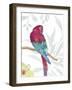Vibrant Parrot-Sandra Jacobs-Framed Art Print