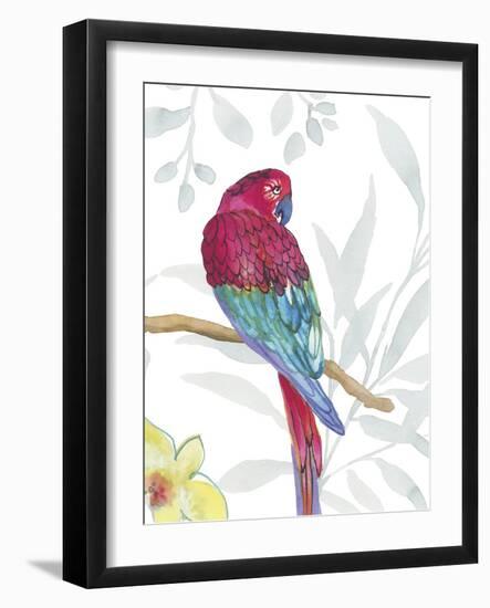 Vibrant Parrot-Sandra Jacobs-Framed Art Print