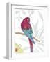 Vibrant Parrot-Sandra Jacobs-Framed Art Print