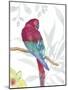 Vibrant Parrot-Sandra Jacobs-Mounted Art Print