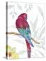 Vibrant Parrot-Sandra Jacobs-Stretched Canvas
