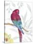 Vibrant Parrot-Sandra Jacobs-Stretched Canvas