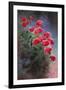 Vibrant Poppies-li bo-Framed Art Print