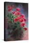 Vibrant Poppies-li bo-Stretched Canvas