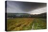 Vibrant Poppy Fields under Moody Dramatic Sky-Veneratio-Stretched Canvas