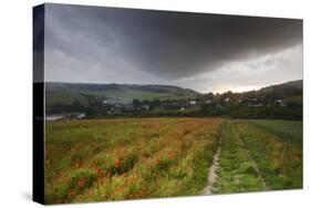 Vibrant Poppy Fields under Moody Dramatic Sky-Veneratio-Stretched Canvas