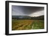 Vibrant Poppy Fields under Moody Dramatic Sky-Veneratio-Framed Photographic Print