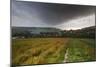 Vibrant Poppy Fields under Moody Dramatic Sky-Veneratio-Mounted Photographic Print