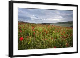 Vibrant Poppy Fields under Moody Dramatic Sky-Veneratio-Framed Photographic Print