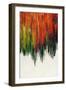 Vibrant Rain-Sydney Edmunds-Framed Giclee Print