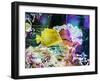 Vibrant Reef IV-Eva Bane-Framed Photographic Print