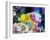 Vibrant Reef IV-Eva Bane-Framed Photographic Print