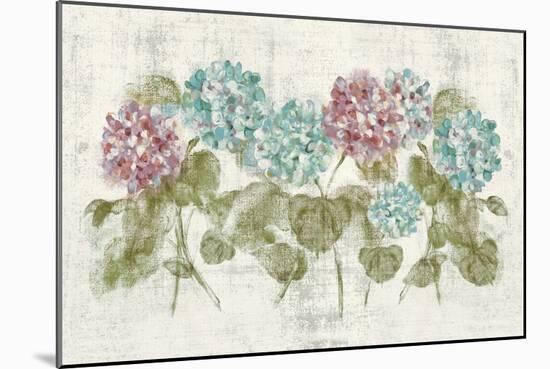 Vibrant Row of Hydrangea No Border-Cheri Blum-Mounted Art Print