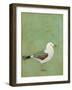 Vibrant Shorebird II-Mehmet Altug-Framed Art Print