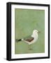 Vibrant Shorebird II-Mehmet Altug-Framed Art Print