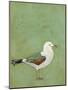 Vibrant Shorebird II-Mehmet Altug-Mounted Art Print