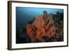 Vibrant Soft Corals Thrive on a Deep Reef in Indonesia-Stocktrek Images-Framed Photographic Print