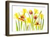 Vibrant Spring-Jacky Parker-Framed Giclee Print