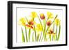 Vibrant Spring-Jacky Parker-Framed Giclee Print