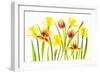 Vibrant Spring-Jacky Parker-Framed Giclee Print