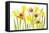 Vibrant Spring-Jacky Parker-Framed Stretched Canvas