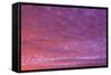 Vibrant Summer Sunset, Inside Passage North of Campbell River, Vancouver Island, Northern British C-Stuart Westmorland-Framed Stretched Canvas