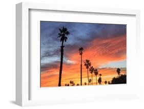 Vibrant sunset, Pacific Beach, San Diego, California, USA-Stuart Westmorland-Framed Photographic Print