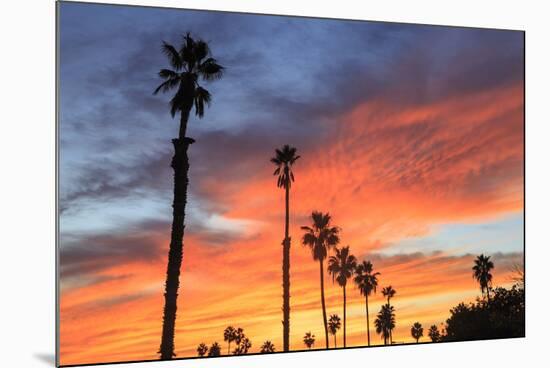 Vibrant sunset, Pacific Beach, San Diego, California, USA-Stuart Westmorland-Mounted Photographic Print