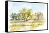 Vibrant Watercolor I-Ethan Harper-Framed Stretched Canvas