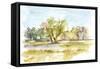 Vibrant Watercolor I-Ethan Harper-Framed Stretched Canvas