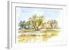 Vibrant Watercolor I-Ethan Harper-Framed Art Print