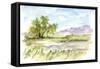 Vibrant Watercolor II-Ethan Harper-Framed Stretched Canvas