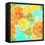 Vibrant Watercolour Lemons, Oranges, and Limes-Plateresca-Framed Stretched Canvas