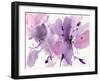 Vibrant-Albena Hristova-Framed Art Print