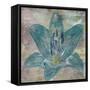 Vibrany Lily 2-Sheldon Lewis-Framed Stretched Canvas