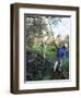 Vibrating Olives from the Trees in the Groves of Marina Colonna, San Martino, Molise, Italy-Michael Newton-Framed Photographic Print