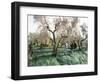 Vibrating the Olives from the Trees in the Olive Groves of Marina Colonna, Molise, Italy-Michael Newton-Framed Photographic Print