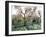 Vibrating the Olives from the Trees in the Olive Groves of Marina Colonna, Molise, Italy-Michael Newton-Framed Photographic Print